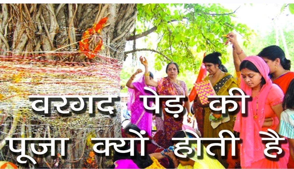 Banyan Tree: वट वृक्ष क्या है 