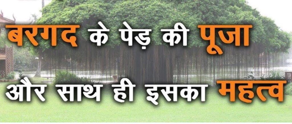 Banyan Tree: वट वृक्ष क्या है 