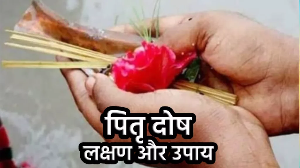 image search 1741601633042